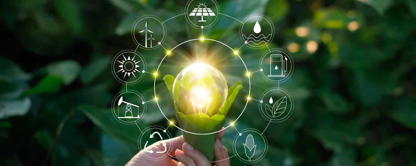 Le Green IT : enjeux et perspectives